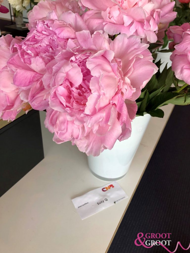 susie q peony