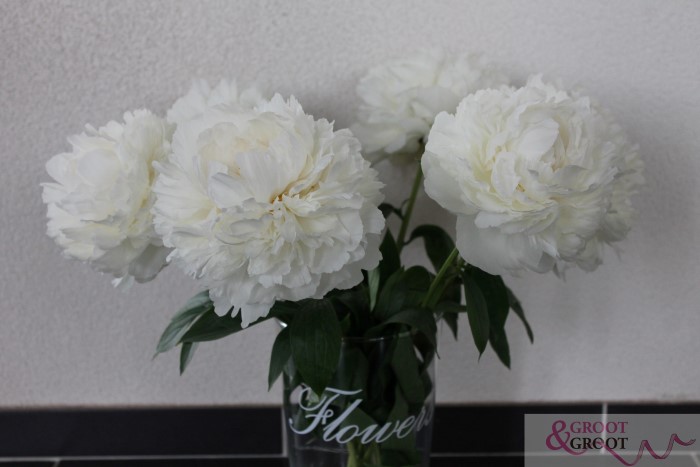 how to dry peonies