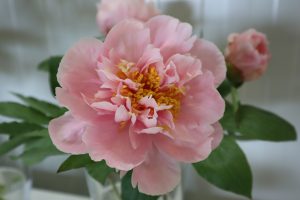 Heavenly Materpiece